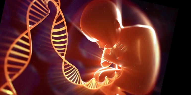 98565371 ccb9 4dbb bbd8 fd6651c9c34d