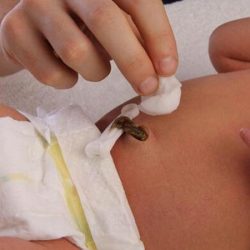 ஜாதககர்மா